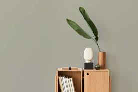 Beige-groen muurverf