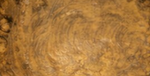 Bronze Metallic