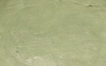 Classic Green