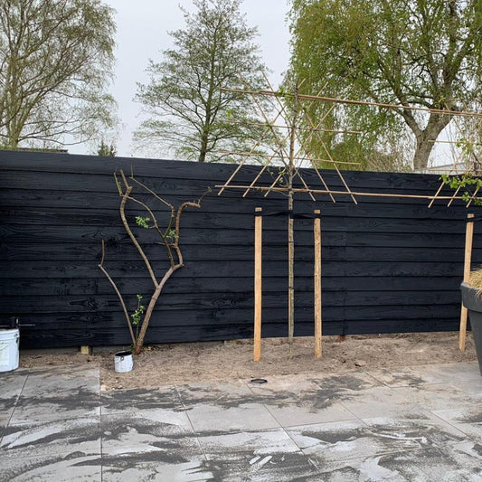 Lacq Produra Nordic Noors Zwart