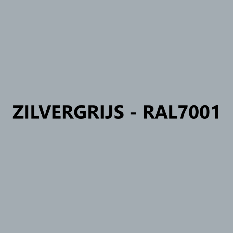 Remmers Epoxy BS 3000 M Zilvergrijs RAL7001 kopen? | Verfsale.com